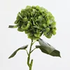 Verde oliva