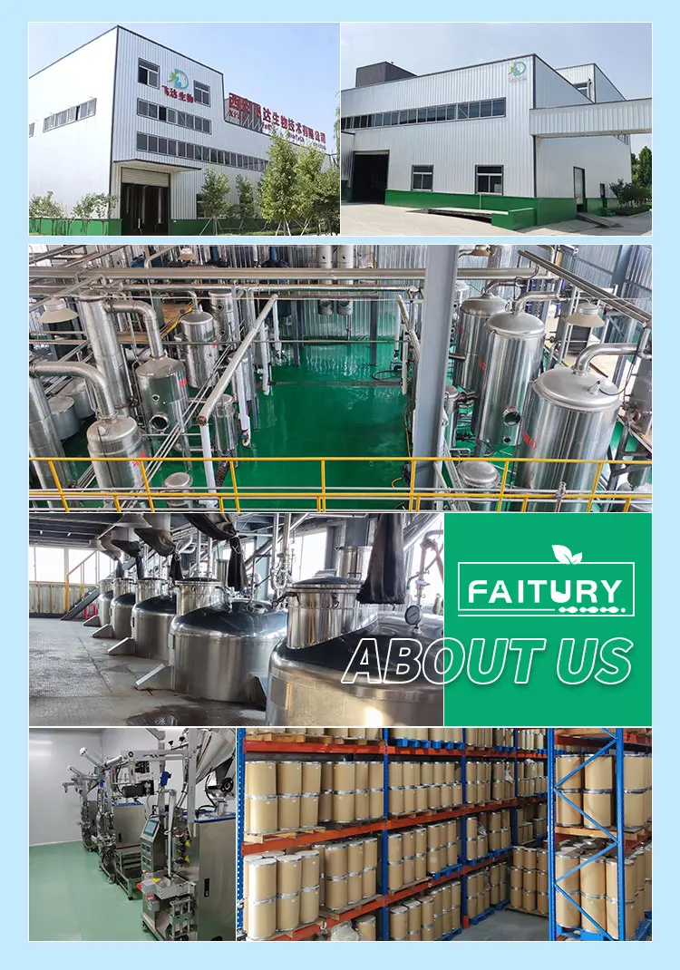 Травяная добавка, бета-глюкан льва