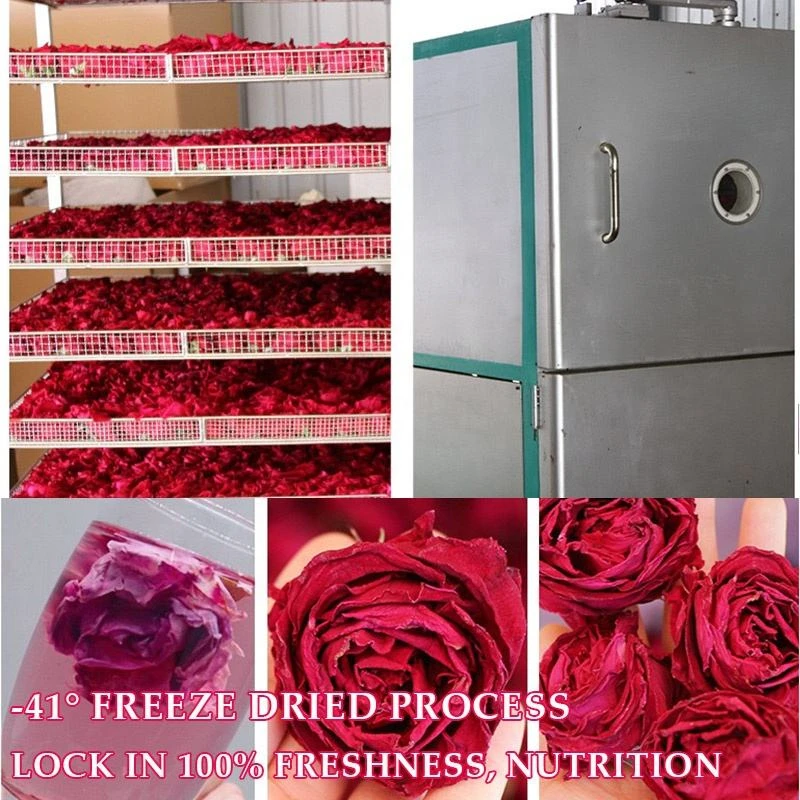 Dried Rose - Bulk Wholesale from China Factory H3f266d21809a451a990ee82f5c90ad7eX
