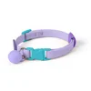 VIOLETA