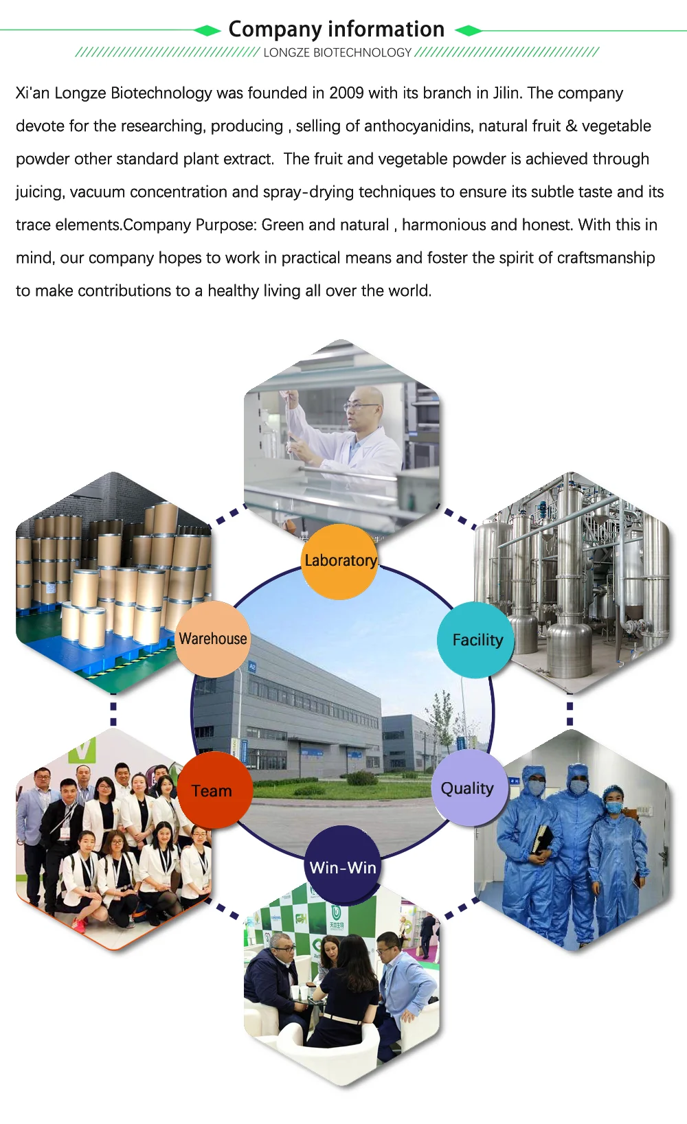Longze  Factory.png