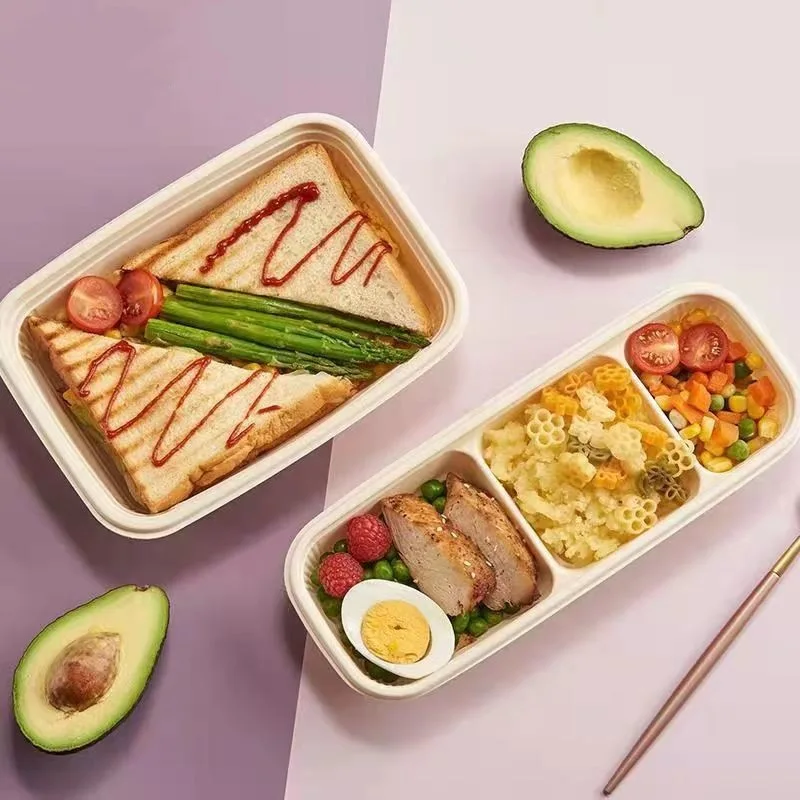Box Packaging Food For Lunch Kids Leakproof 5 Compartment Boxes