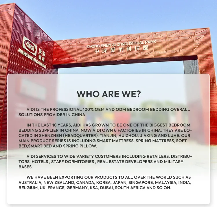 Aidi Oem/odm Euro Top Pocket Bonnell Mattress Rolled Up In A Carton Box