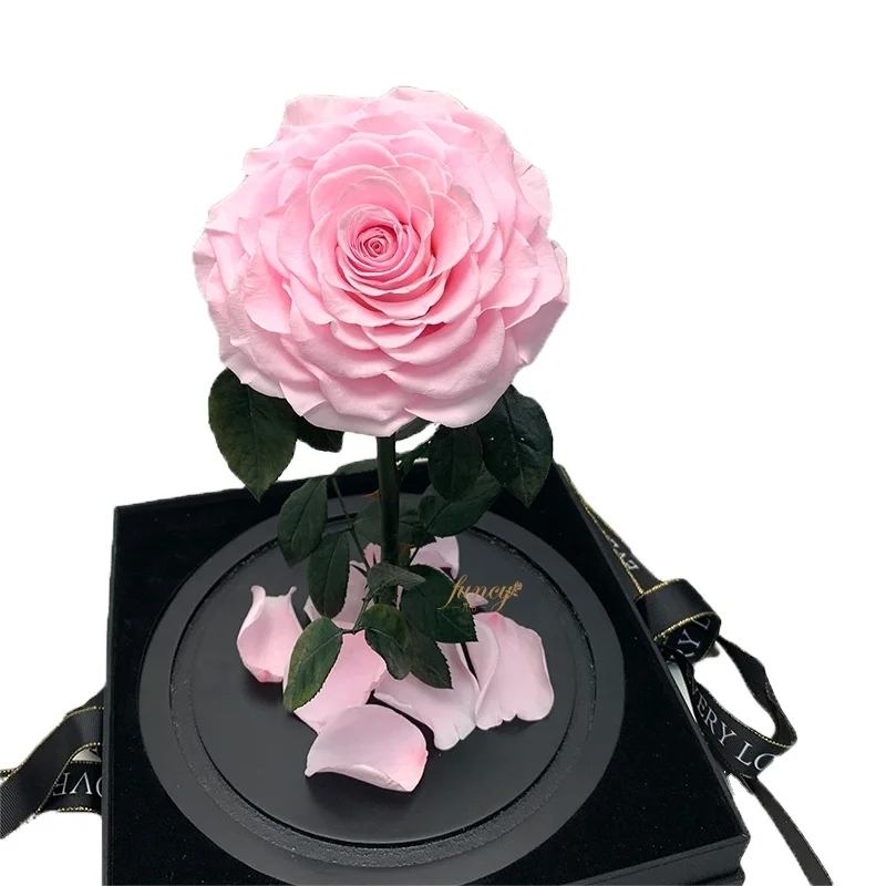 Factory Wholesale Valentine's Day Christmas New Year Glass Dome Preserved Forever Roses Enchanted Belle Gift Box