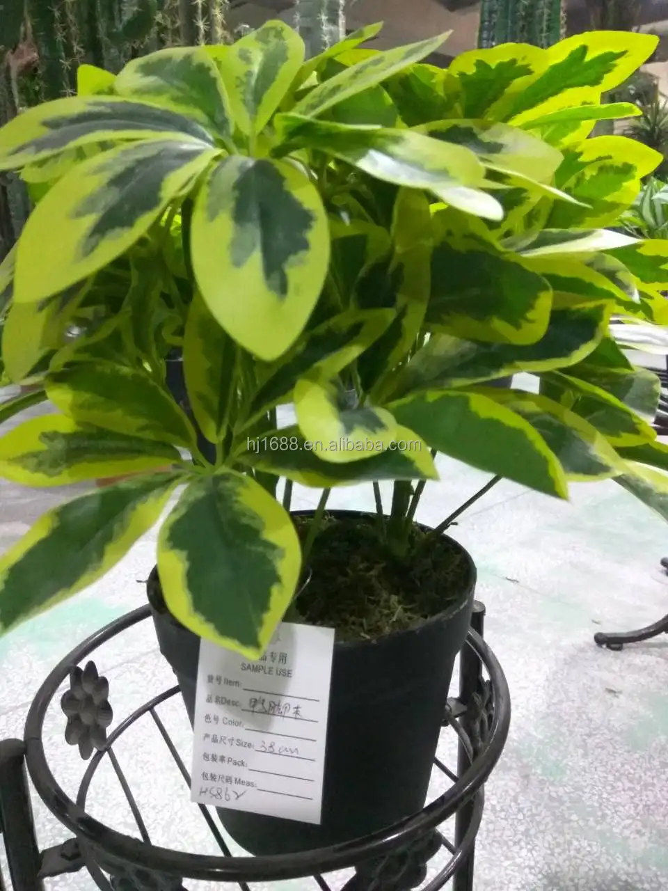 Chinesischer Hersteller Hochwertiger Immergrner Kunstbonsai im Topf Knstliche  Schefflera-Pflanze fr Schreibtisch und Flur| Alibaba.com