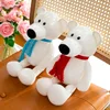 Orso polare