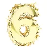 Gold Six