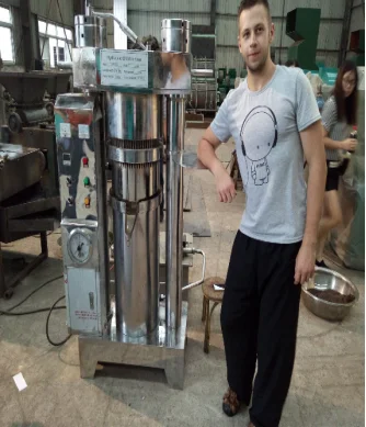 CE Approve Cold Oil Press Machine Avocado Processing Equipment Hydraulic Olive Moringa Seeds Oil Extraction Press Machine Price