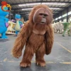 Costume da babbuino