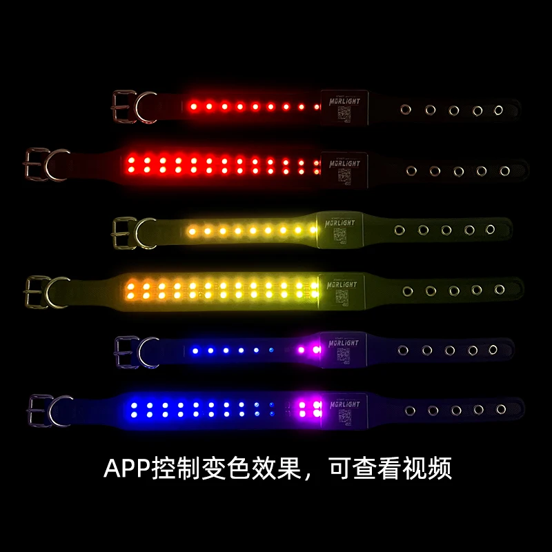 Smart Phone APP Control  Highlight LED Pet Collar with Pin Buckle Luminous Dog Necklace