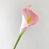 SKU8