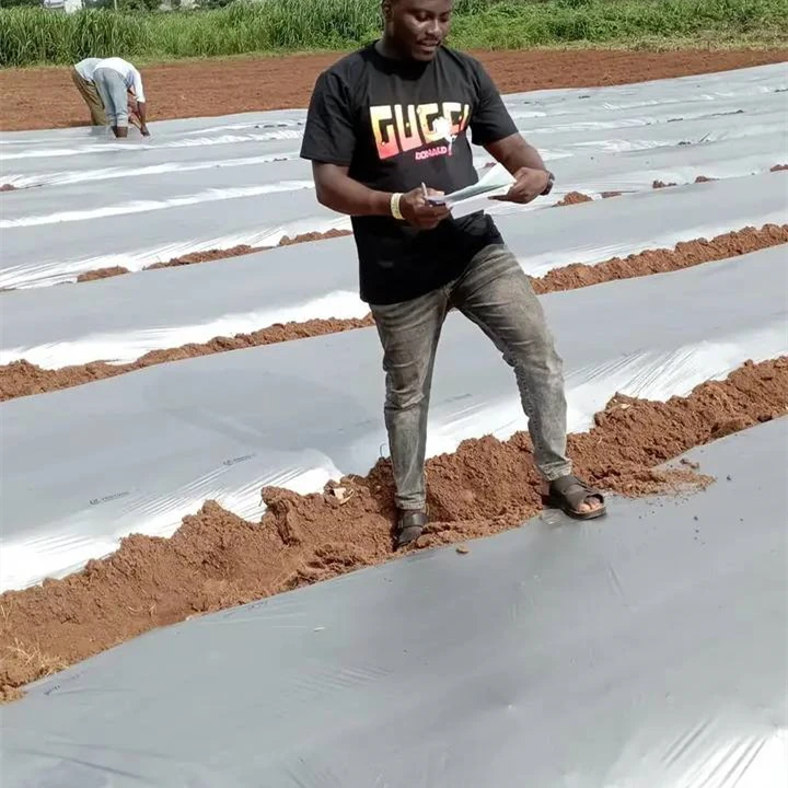 Agricultural Biodegradable Plastic Mulch Film 30 15 25 Micron Mulching Film Black & Silver 93 cm Wide