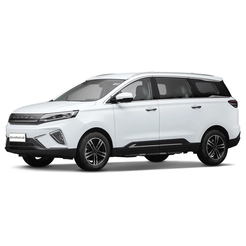 Standard Edition Ev Car 5 Doors 5 Seats Pure Electric Medium Mpv Dayun ...