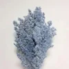 Gray blue