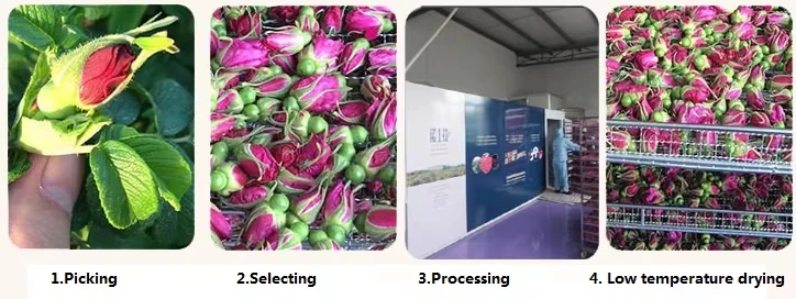 Dried Rose - Bulk Wholesale from China Factory H3f52d039e0924d53ac84891231724b52H
