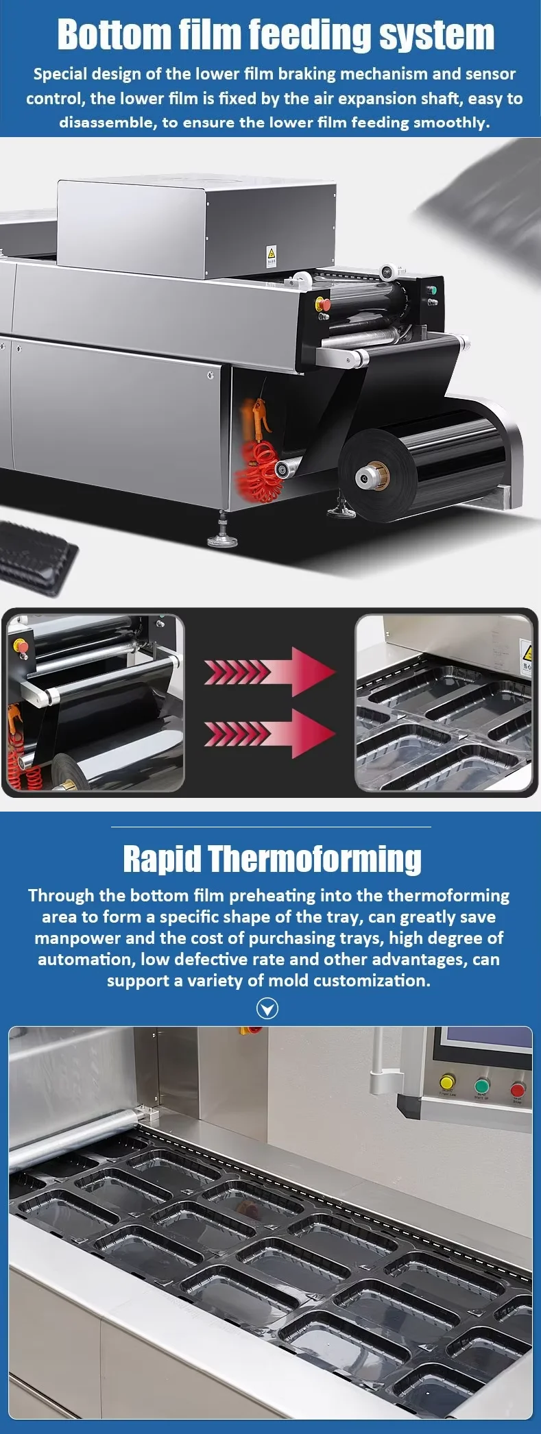Thawing Equipment, 220 V, CE - detail 26