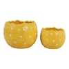 Giallo