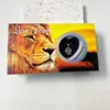 Coffret cadeau Lion Wishful Pearl 5