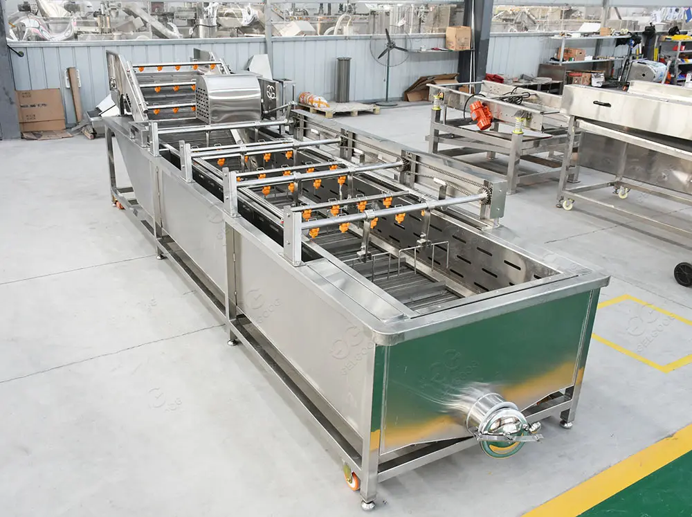 Automatic Iraq Date Palm Washing and Drying Line - 500kg/h Commercial ...