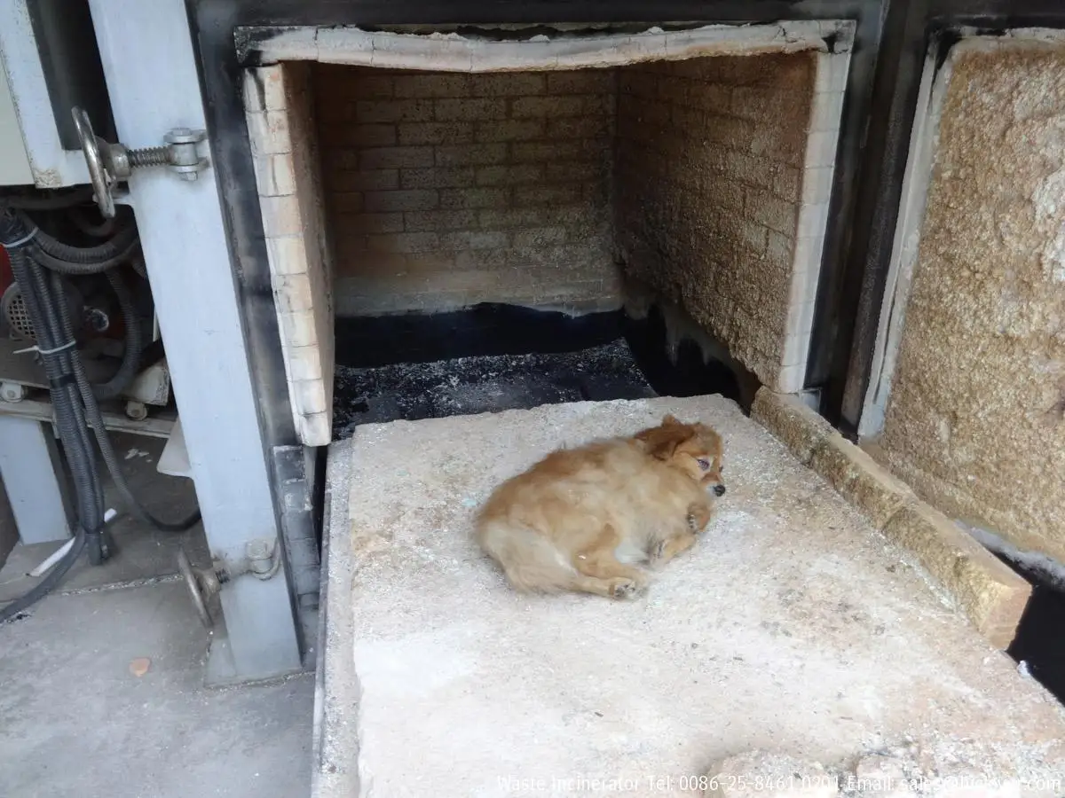 Pet Crematormedical Hospital Waste Animal And Animal Waste Dogs Cats Pets  Crematou Waste Treatment Machinery Incinerateur Dechet - Buy Pet  Crematorhorno Crematorio Para Mascotas Pet Crematorium Dogs Cats Pets  Crematou Waste Treatment