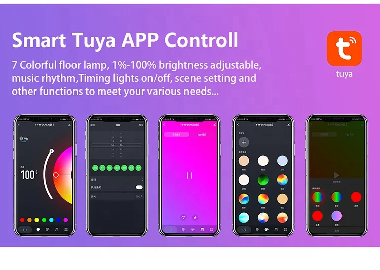 Tuya-01_02.jpg