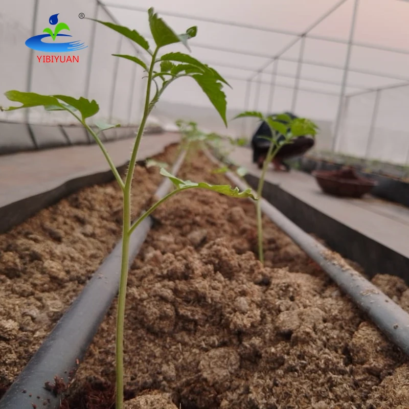 Farm Drip Irrigation Pipes Hose Yibiyuan Supplies Accessories Complete Kits 1 Hectare Drip Irrigation System