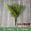 Nine-headed Ironwood Fern