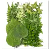 Green 03, 35pcs/pack