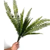 Large fern stem (dark color)