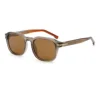 C4-gray-brown