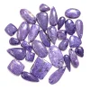 Pourpre