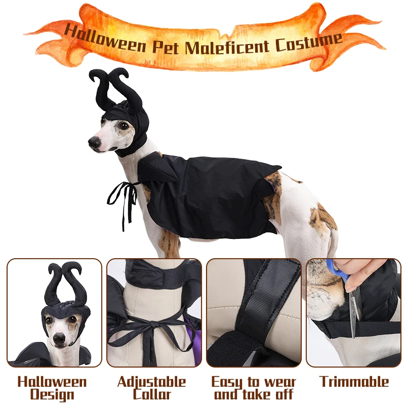 WORDERFUL Hunde-Piratenkostüm Für Halloween – Karibik-Style Für Kleine Hunde & Katzen, Größe XS