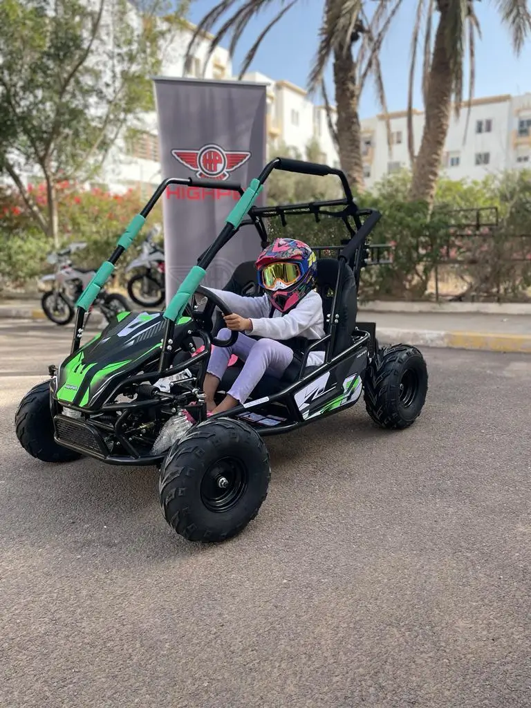 Electric Off Road Dirt 2 Seater Go Kart For Sale Adults Ce Race Go