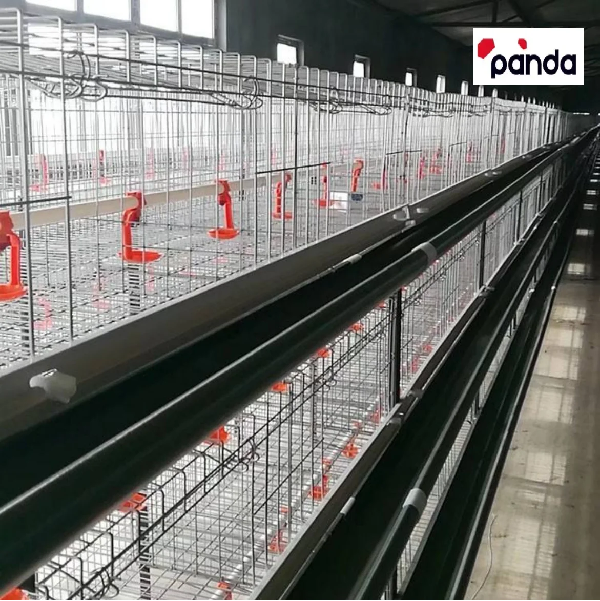 H Type Battery Chicken Cage Layer Poultry Cage Sale for Africa Farm