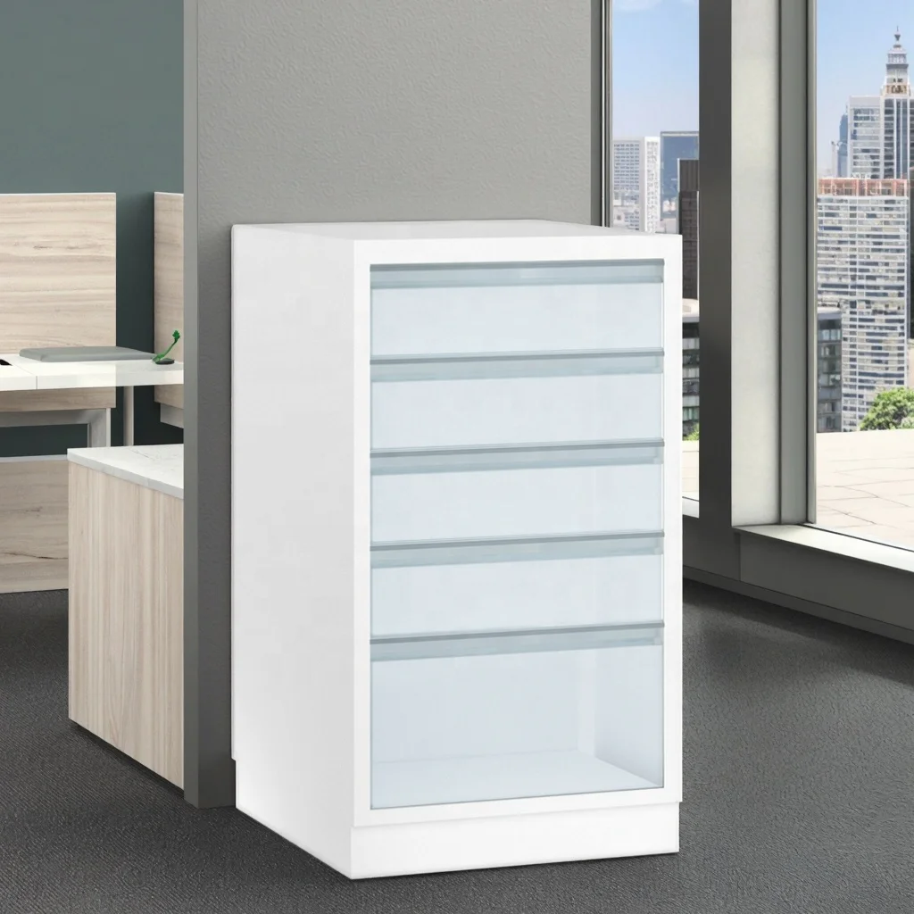 Modular Modern Stainless Steel Clinical Archives Organizer Cabinet for Hospital Office Use with Suspension Files Labeling System 6