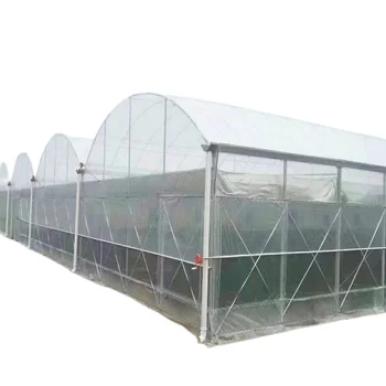 Cheap Agricultural Tomato Tunnel Polytunnel Film Greenhouse For Outdoor