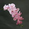 Rosa chiaro maculato