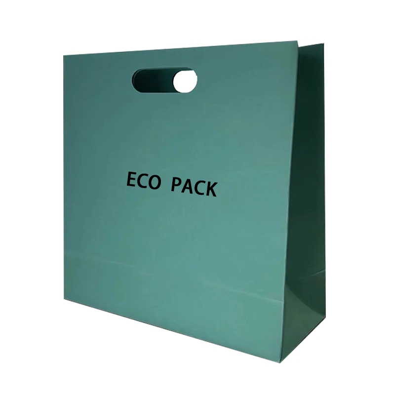 Custom Design Biodegradable Paper Shopping Bag Gift Bag With Die Cut Handle for Clothing Shop