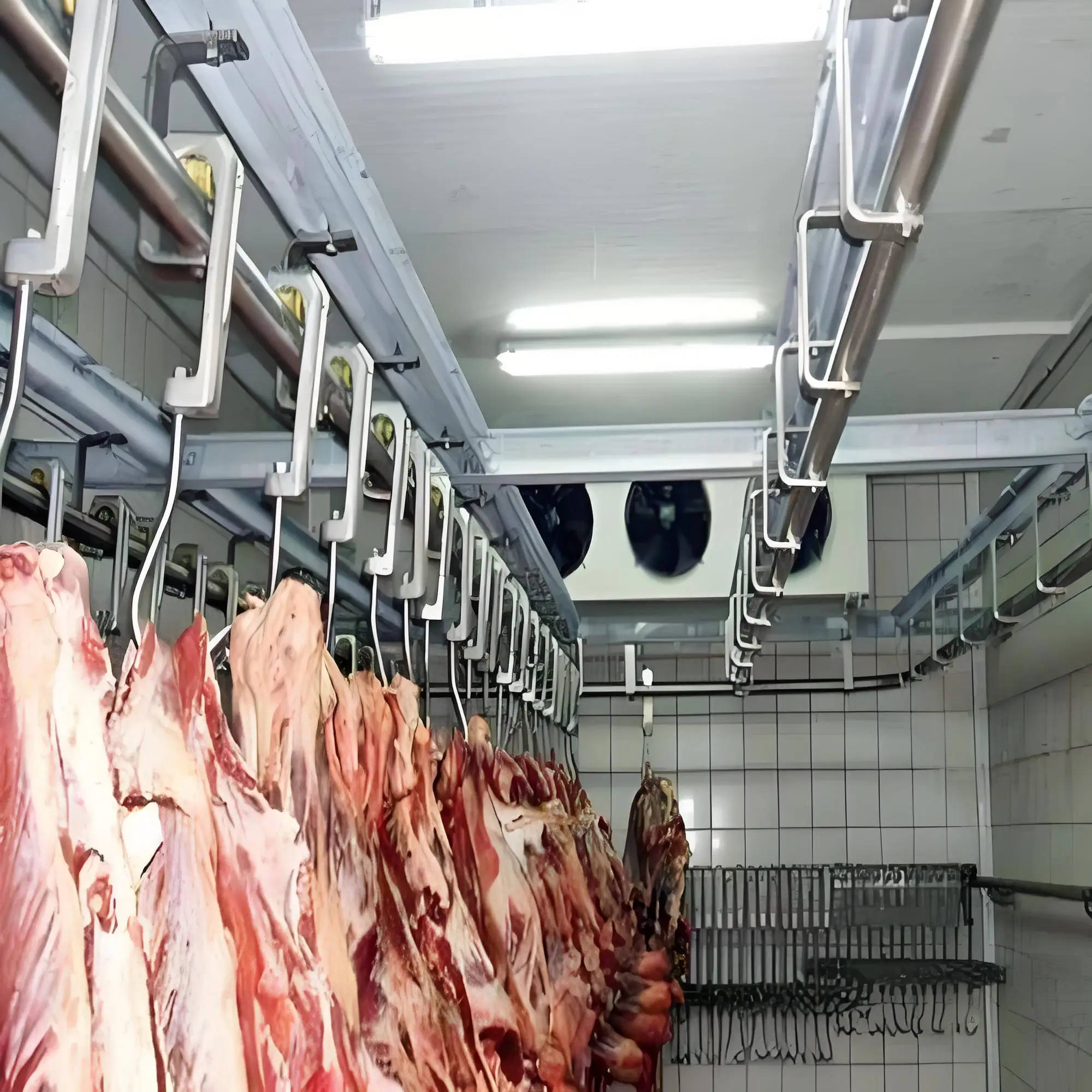 Blast Freezer, 3x2, 380 V, > 1000W - detail 10
