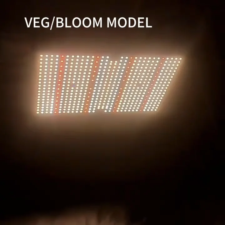 1149043_4