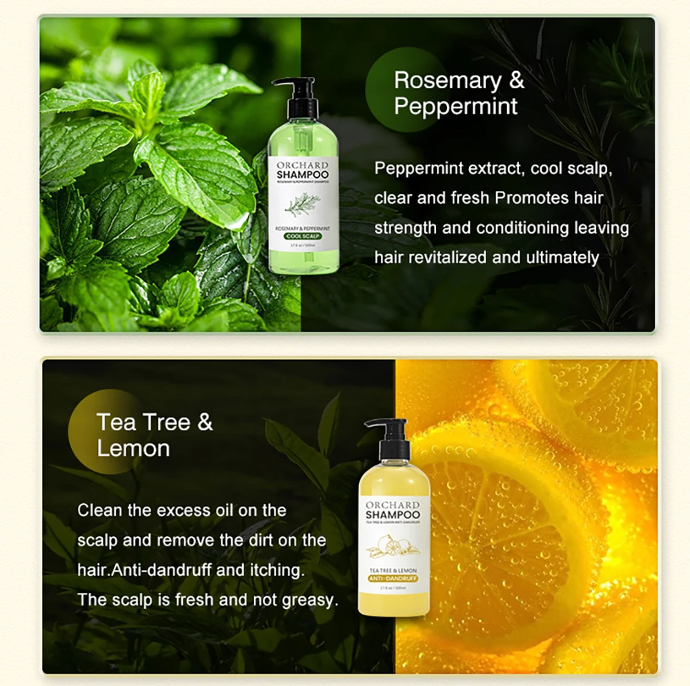 Best Rosemary Peppermint Tea Tree Lemon Ginger Ylang Apple Cider Argan