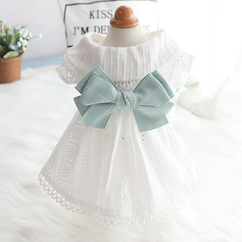 Ummer-vestido verde menta para perro, falda para mascota, ropa para perro  con lazo, vestido de princesa con decoración de encaje para cachorro Itten
