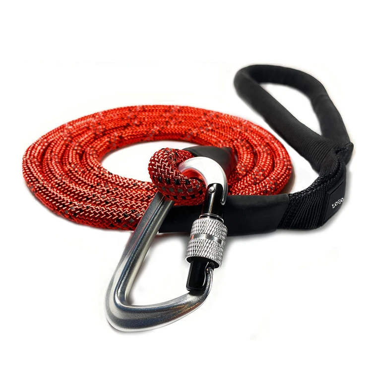 leash with locking carabiner