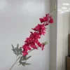 Rose red