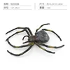 PL127-2541 Argiope 12g