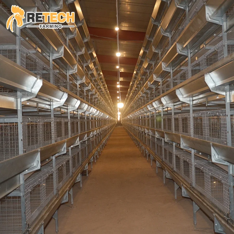 H Type Automatic Baby Layer Broiler Chicken Brooder Day Old Chick Battery Pullet Cage