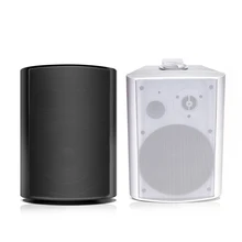 Wireless WiFi/BT5.4 Dual Mode Multi-room Wall-Mounted Active/Passive Metal Speakers AUX Input IPX4 Waterproof for Home Theater
