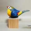 Blocchi di legno colorati