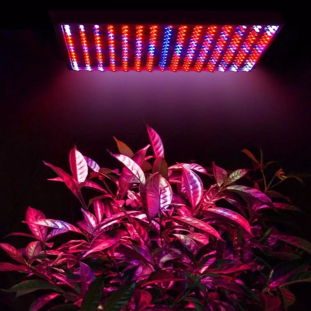 1-3 Вт световый УФ СИД SMD 3535 400-405NM 420-425NM 440-445NM LED для светать роста растений светодиодный чип