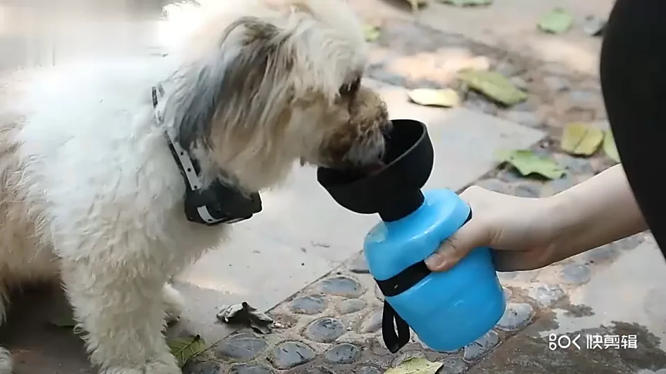 Large Capacity Bowl Collapsible Drinking Dispenser Cup Portable